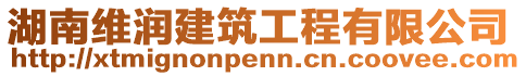 湖南維潤建筑工程有限公司