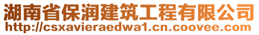 湖南省保潤建筑工程有限公司