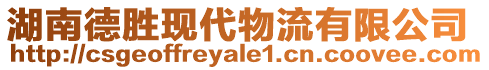 湖南德勝現(xiàn)代物流有限公司