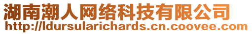 湖南潮人網(wǎng)絡(luò)科技有限公司