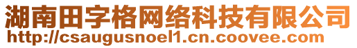 湖南田字格網(wǎng)絡(luò)科技有限公司