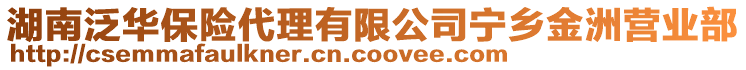 湖南泛華保險(xiǎn)代理有限公司寧鄉(xiāng)金洲營(yíng)業(yè)部