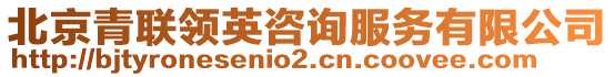 北京青聯(lián)領(lǐng)英咨詢服務(wù)有限公司