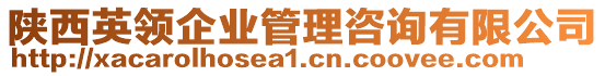 陜西英領(lǐng)企業(yè)管理咨詢有限公司