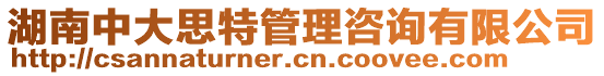 湖南中大思特管理咨询有限公司