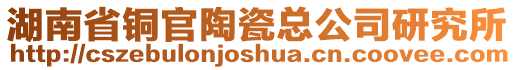 湖南省銅官陶瓷總公司研究所