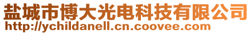 盐城市博大光电科技有限公司