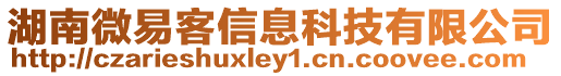 湖南微易客信息科技有限公司