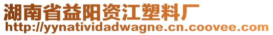 湖南省益陽(yáng)資江塑料廠