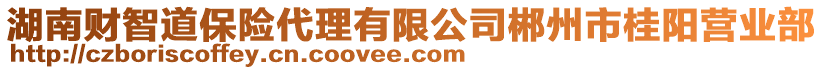 湖南財(cái)智道保險(xiǎn)代理有限公司郴州市桂陽(yáng)營(yíng)業(yè)部