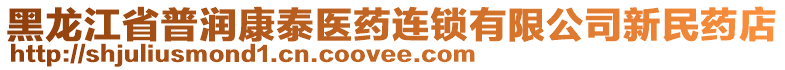 黑龍江省普潤(rùn)康泰醫(yī)藥連鎖有限公司新民藥店