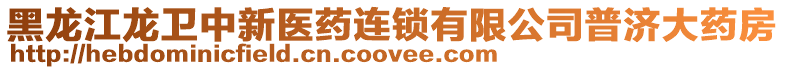 黑龍江龍衛(wèi)中新醫(yī)藥連鎖有限公司普濟大藥房