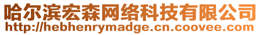 哈爾濱宏森網(wǎng)絡(luò)科技有限公司