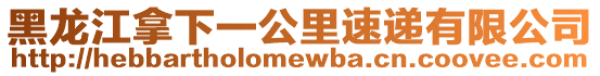 黑龍江拿下一公里速遞有限公司