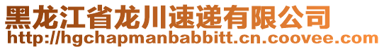 黑龍江省龍川速遞有限公司