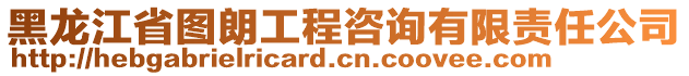 黑龍江省圖朗工程咨詢有限責任公司