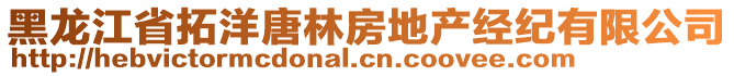 黑龍江省拓洋唐林房地產(chǎn)經(jīng)紀(jì)有限公司