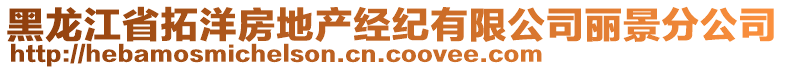 黑龍江省拓洋房地產經紀有限公司麗景分公司