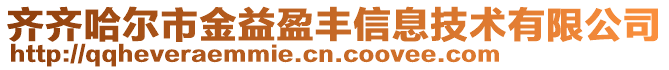 齊齊哈爾市金益盈豐信息技術有限公司