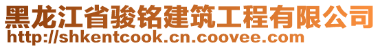 黑龍江省駿銘建筑工程有限公司