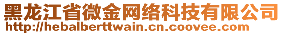 黑龍江省微金網(wǎng)絡(luò)科技有限公司