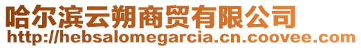 哈尔滨云朔商贸有限公司