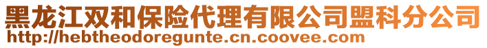 黑龍江雙和保險代理有限公司盟科分公司