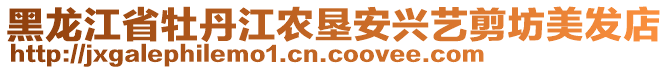 黑龍江省牡丹江農(nóng)墾安興藝剪坊美發(fā)店