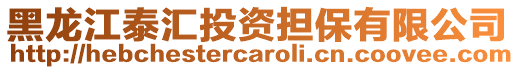 黑龙江泰汇投资担保有限公司