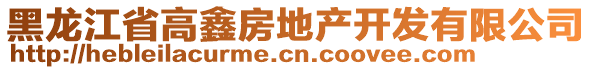 黑龙江省高鑫房地产开发有限公司