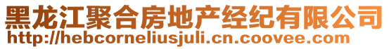 黑龍江聚合房地產(chǎn)經(jīng)紀(jì)有限公司