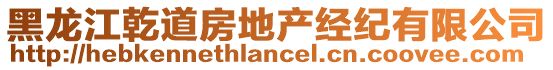 黑龍江乾道房地產(chǎn)經(jīng)紀(jì)有限公司