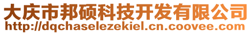 大慶市邦碩科技開發(fā)有限公司