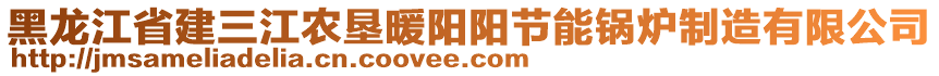 黑龍江省建三江農(nóng)墾暖陽(yáng)陽(yáng)節(jié)能鍋爐制造有限公司
