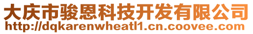 大慶市駿恩科技開發(fā)有限公司