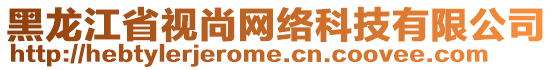 黑龍江省視尚網(wǎng)絡(luò)科技有限公司