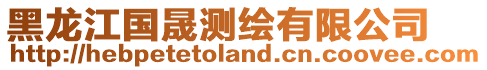 黑龍江國晟測繪有限公司