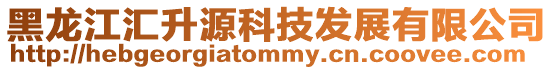 黑龍江匯升源科技發(fā)展有限公司