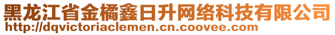 黑龍江省金橘鑫日升網(wǎng)絡(luò)科技有限公司