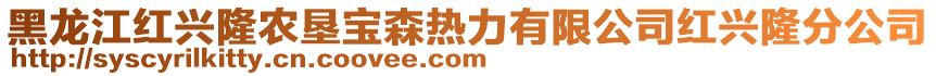 黑龍江紅興隆農(nóng)墾寶森熱力有限公司紅興隆分公司