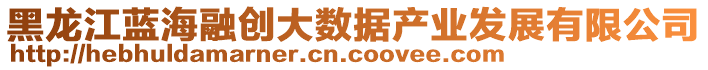 黑龍江藍(lán)海融創(chuàng)大數(shù)據(jù)產(chǎn)業(yè)發(fā)展有限公司