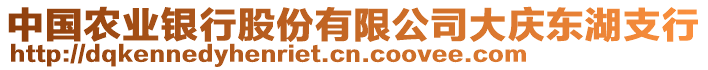 中國(guó)農(nóng)業(yè)銀行股份有限公司大慶東湖支行