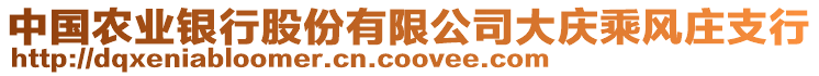 中國農(nóng)業(yè)銀行股份有限公司大慶乘風(fēng)莊支行