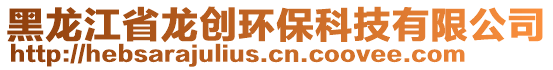 黑龍江省龍創(chuàng)環(huán)?？萍加邢薰? style=