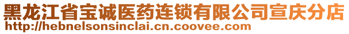 黑龍江省寶誠(chéng)醫(yī)藥連鎖有限公司宣慶分店