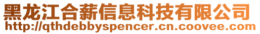 黑龍江合薪信息科技有限公司