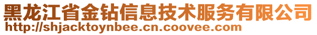 黑龍江省金鉆信息技術(shù)服務(wù)有限公司