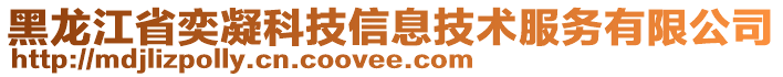 黑龍江省奕凝科技信息技術(shù)服務有限公司