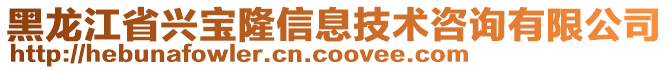 黑龍江省興寶隆信息技術(shù)咨詢有限公司