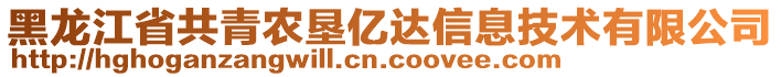 黑龍江省共青農(nóng)墾億達信息技術(shù)有限公司